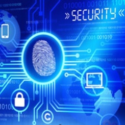 TMG Developments Security Audit